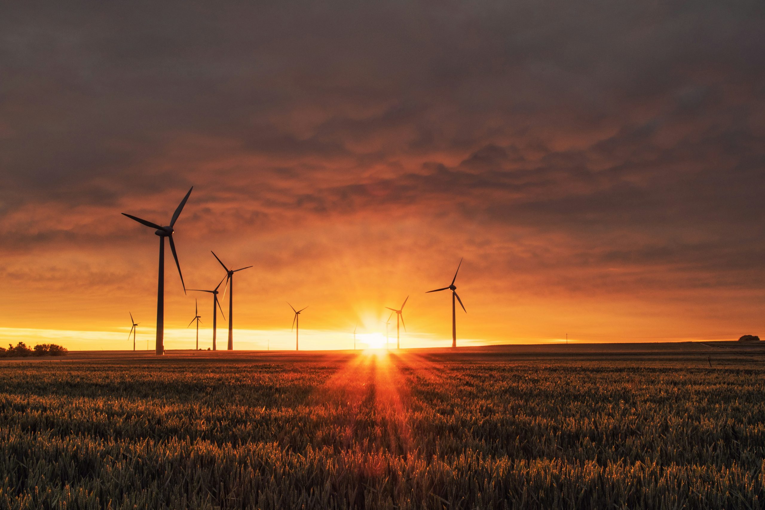 Environmental & Sustainability